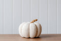 Cream Cotton and Rope Pumpkin