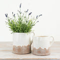 Ido Cream Jug